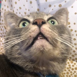 Meet your Posher, Makenna